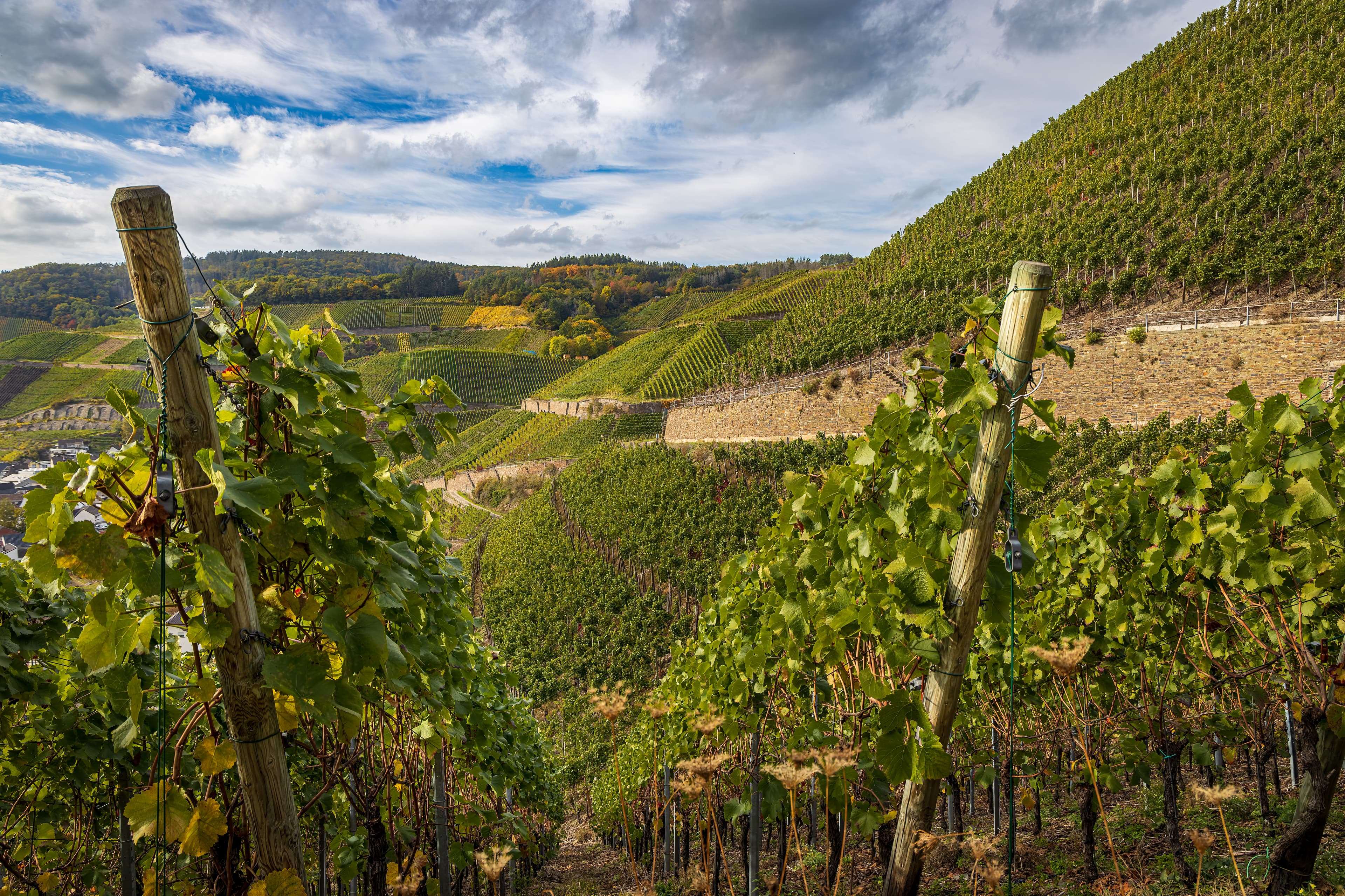Ahrwein & Winzer